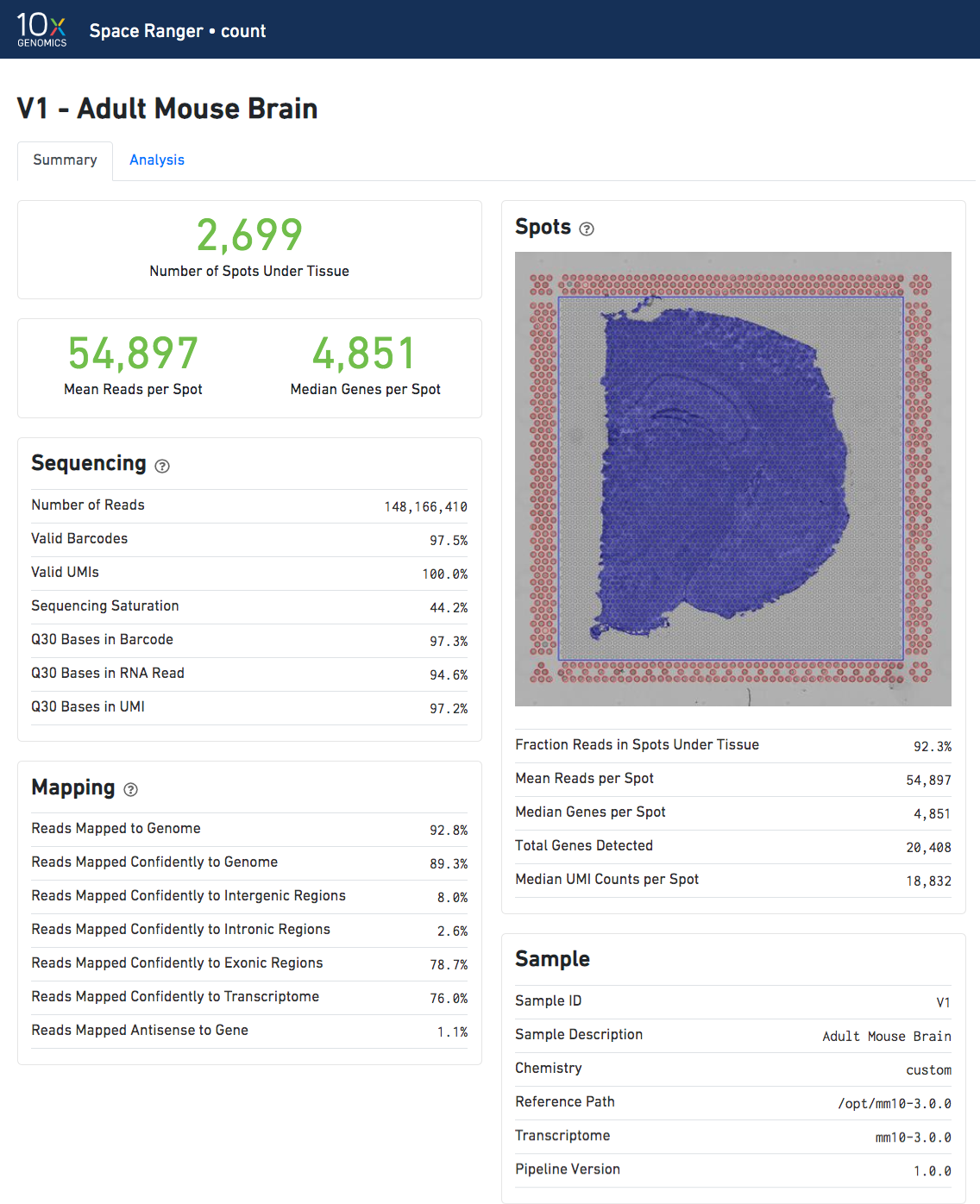 spaceranger web summary