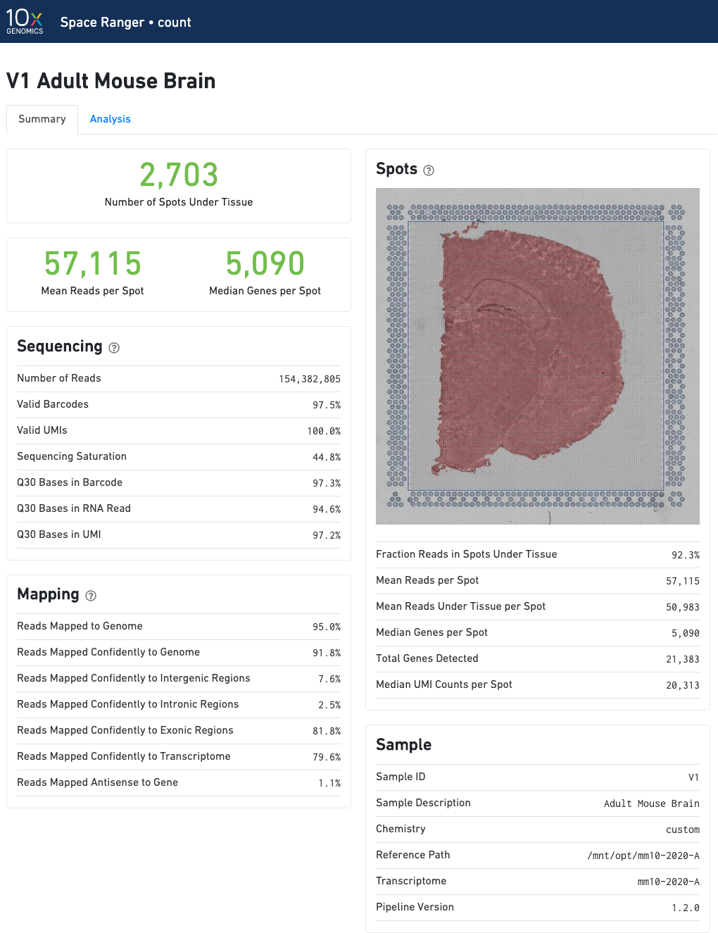 spaceranger web summary